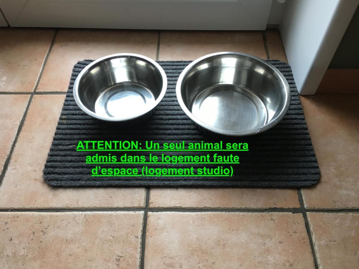 Studio "Pause A La Naturelle" Wimereux- Cote D'Opale Exterior foto
